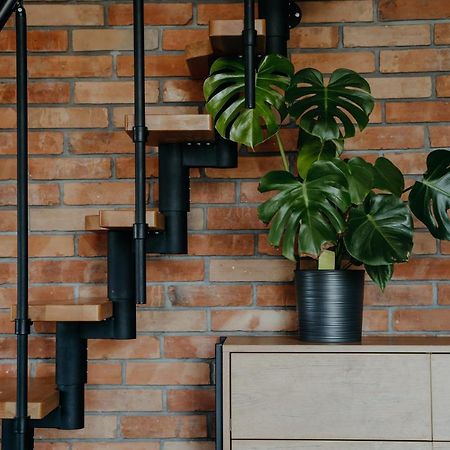 Osada Witow - Apartament „Czerwone Wierchy” Εξωτερικό φωτογραφία